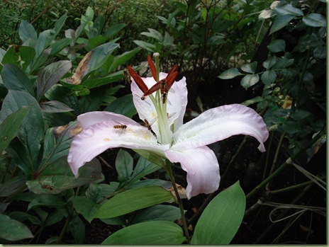 DSC00020