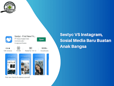 Sestyc VS Instagram, Sosial Media Baru Buatan Anak Bangsa