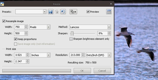 batch resize images