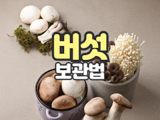 버섯 보관법