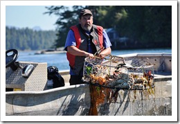 tofino 093