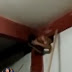 Se deu mal: crim1noso grita desesperadamente ao ficar preso em parede no Amazonas; veja vídeo