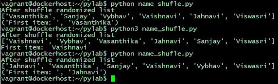 Python Interview Question random shuffle