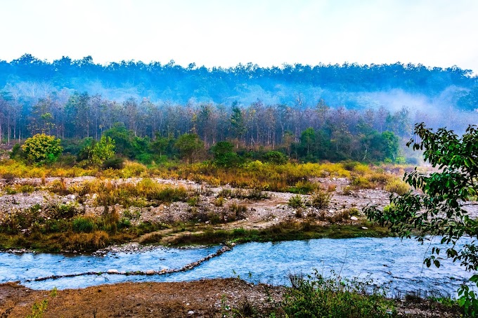 Jim Corbett National Park