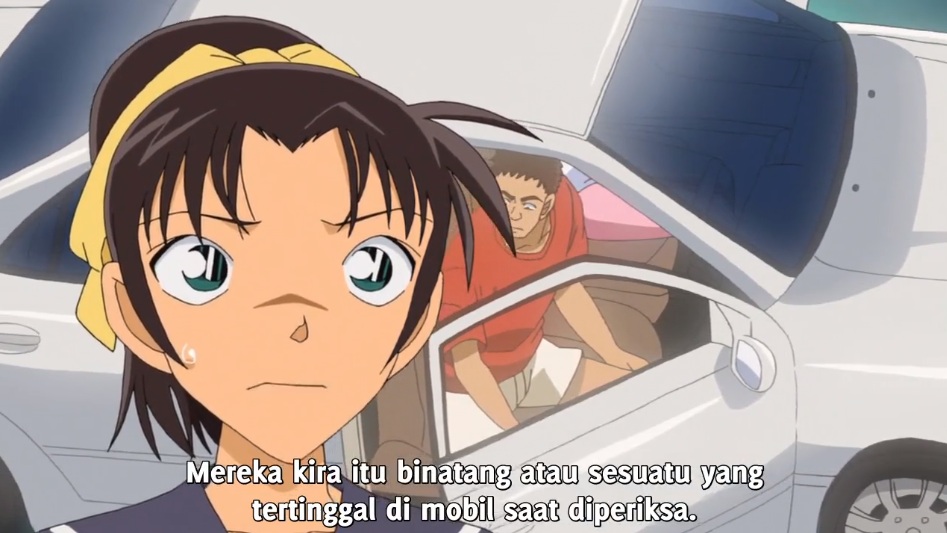 Download Detective Conan 830 Subtitle Indonesia  INTERNET 