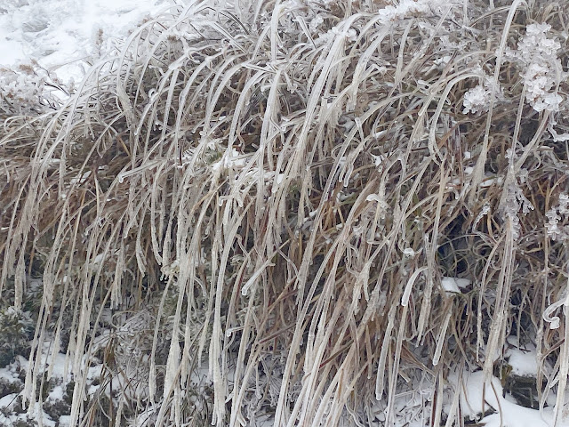 合歡山賞雪