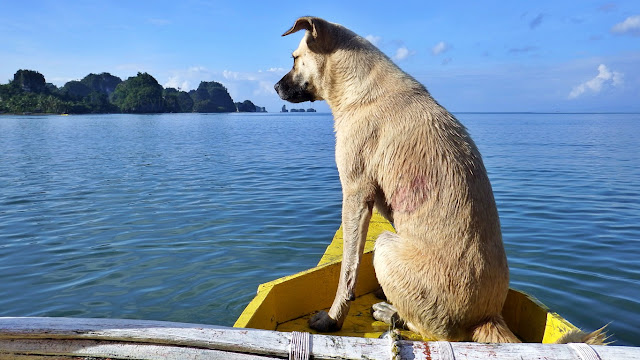 Buringot leads the island hopping tour at Caluwayan