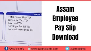 Assam Employee Pay Slip