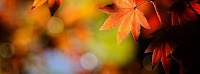 Autumn Facebook Pics2