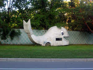 WhaleMobile For Sale - Going Slow