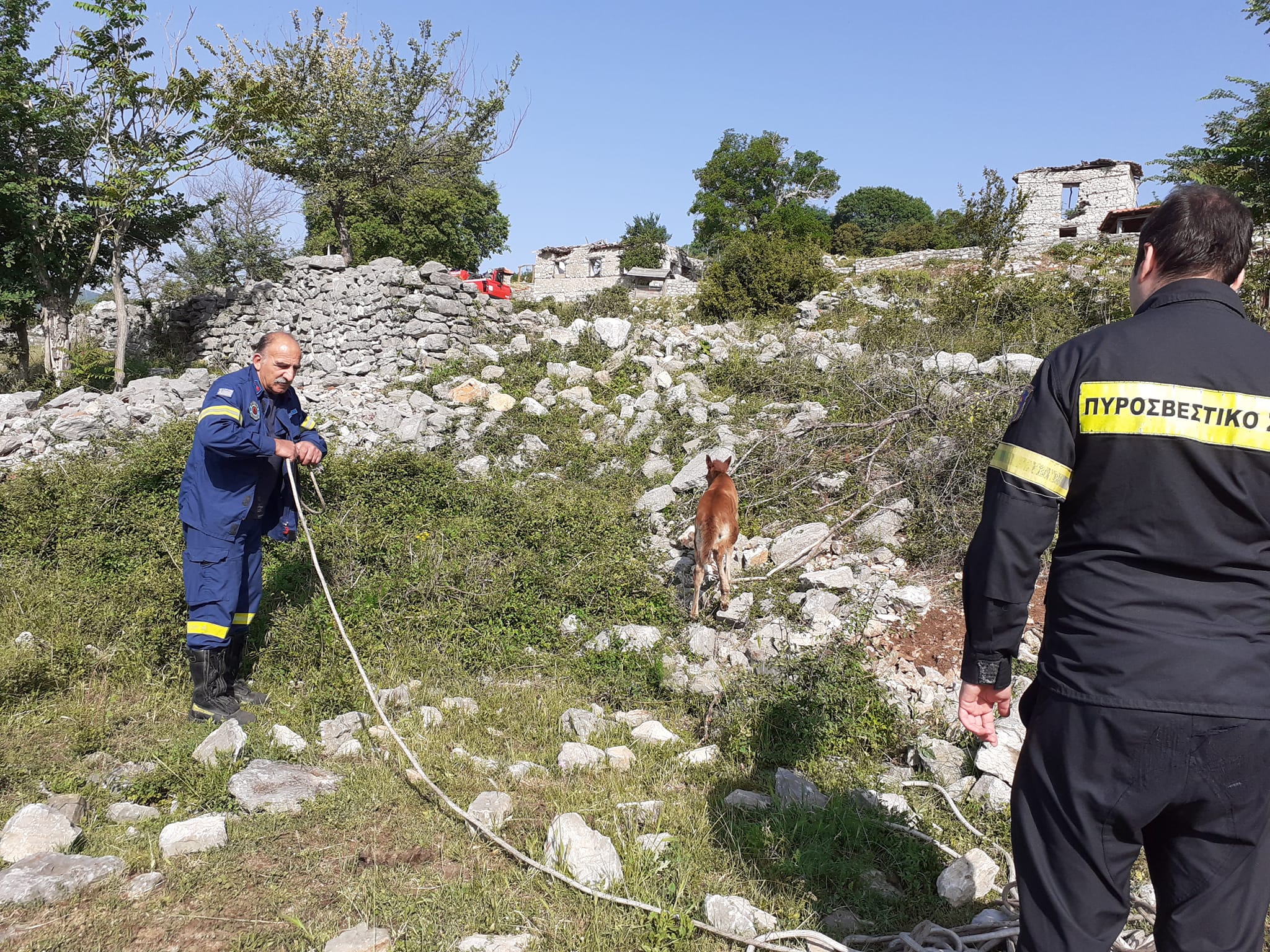 Ξάνθη: Έσωσαν αλογάκι που έπεσε σε πηγάδι στα Λιβερά [ΦΩΤΟ]