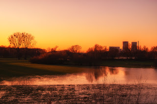 Wildlifefotografie Naturfotografie Lippeaue Sonnenuntergang Olaf Kerber