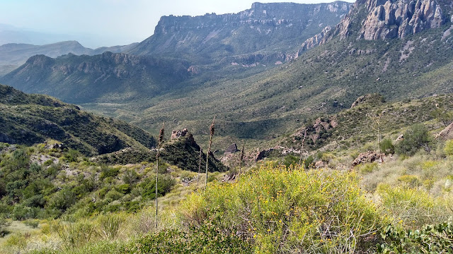 Old Mines Trail, Big Bend National Park, Texas. September 2017. Credit: Mzuriana.