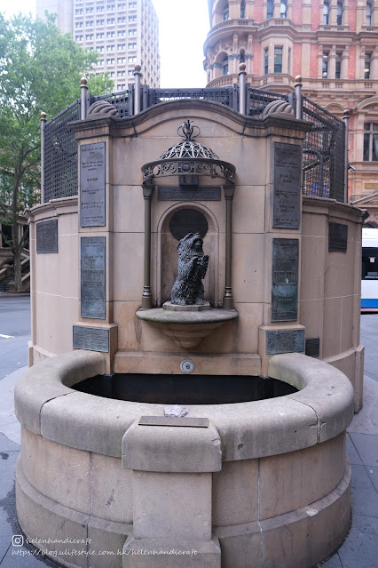 Australia Sydney Queen Victoria Building QVB 澳洲 悉尼 打卡