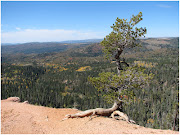 . head is to Zion Park. The elevation here is 10,000± ft above sea level. (overlook)