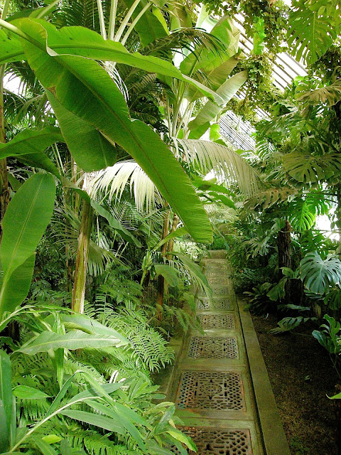 Madrid-Real-Jardin-Botànico