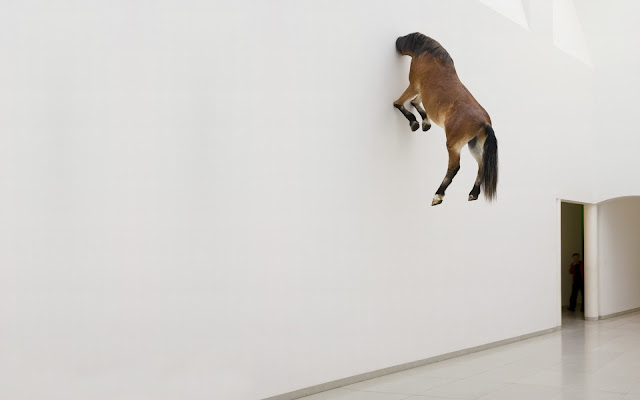 Horse In Wall Wallpaper