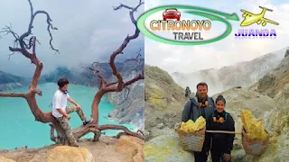 Ijen Tour: Mengungkap Keajaiban Alam di Bumi Jawa