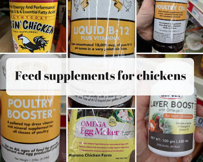 Feed supplements for chickens