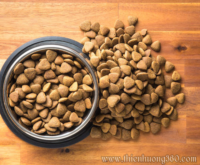 Thức ăn cho chó: đồ ăn khô cho chó