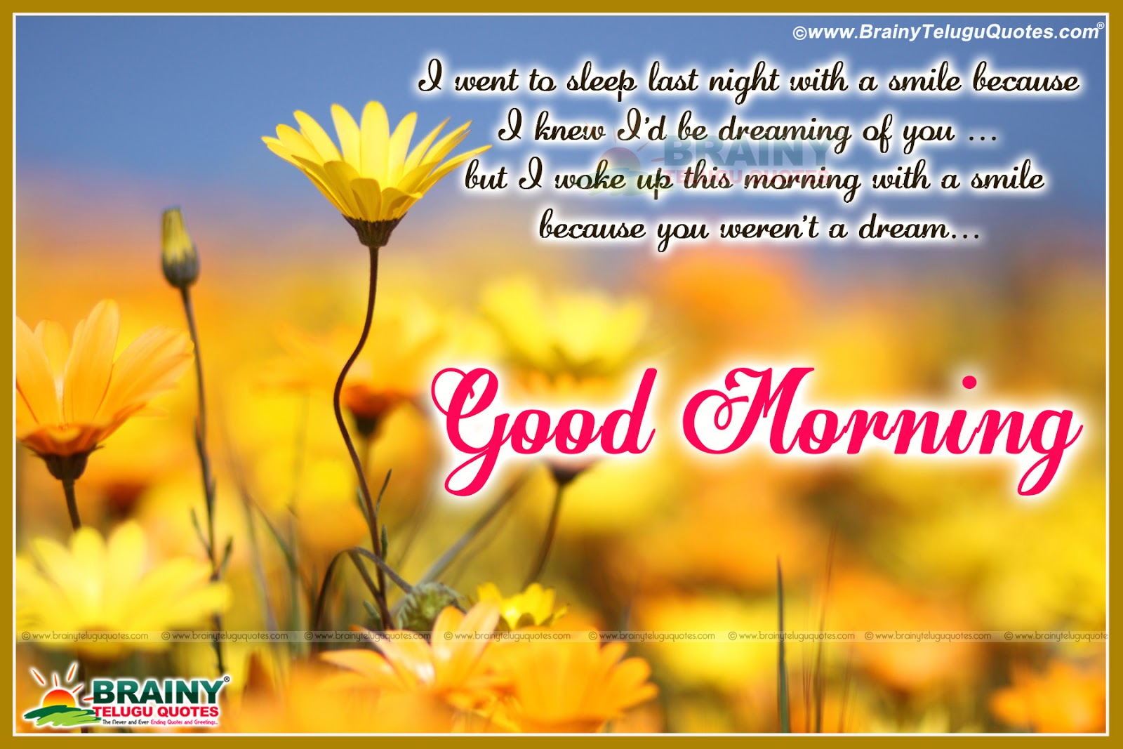 Good Morning English Wishes with Messages Wallpapers
