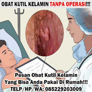 Obat Kutil Kelamin