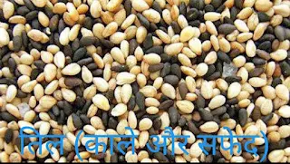 Dry fruits and nuts | ड्राई फ्रूट्स / सूखे मेवे | ParnassiansCafe