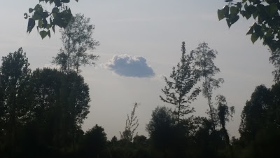 Nuvola e Natura