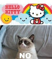 Grumpy Cat