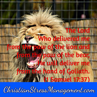 The Lord who delivered  me from the paw of the lion and from the paw of the bear, He will deliver me from the hand of Goliath 1 Samuel 17:37