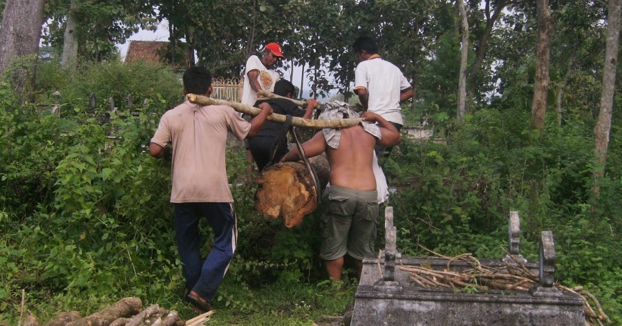 Sundul Langit Orang Sedang Memikul Kayu  Gelondongan 