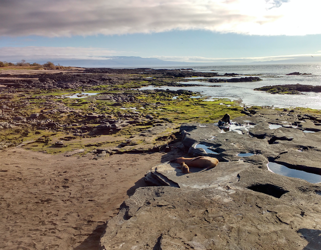 Isla Santiago, Galápagos