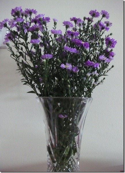 P1050214