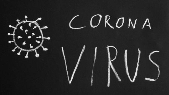 Peneliti Ungkap Berapa Lama Virus Corona Bertahan di Tubuh Pasien, naviri.org, Naviri Magazine, naviri