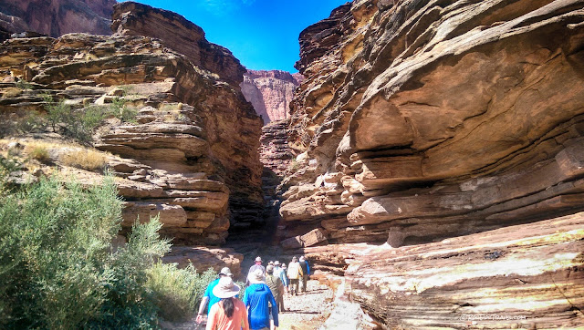Grand Canyon National Park geology rafting Colorado River Arizona travel trip copyright RocDocTravel.com