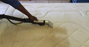 adelaideprofessionalcarpetcleaning.com.au