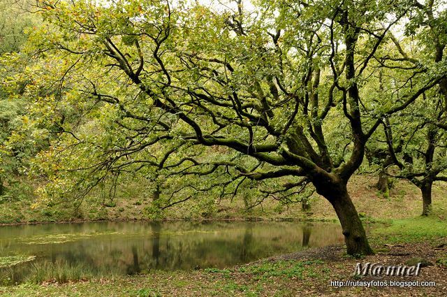 Laguna del Moral