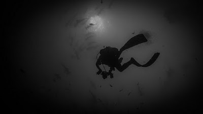 looking_up_from_deep_water_diver