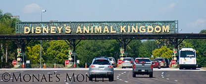 Animal Kingdom sign