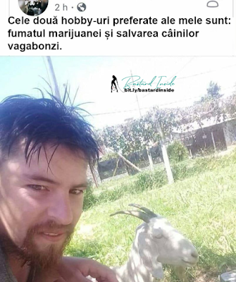 Cele două hobby-uri preferate ale mele sunt: fumatul marijuanei și salvarea câinilor vagabonzi.