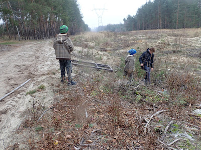 grzyby 2019, grzyby w listopadzie, grzyby na Ponidziu, uzdrowisko Busko Zdrój