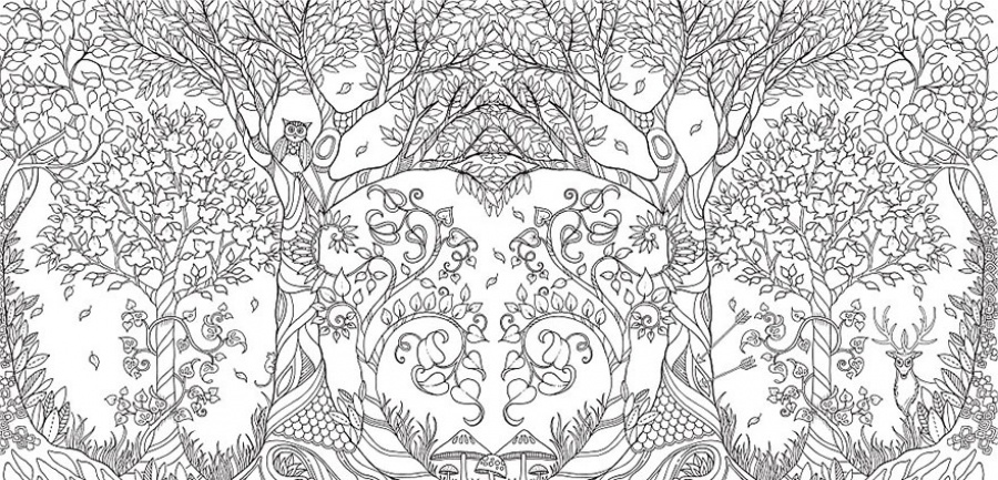 a delightful coloring book for adults