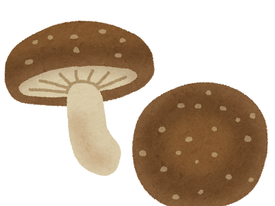 <span class="cf-error-code">522</span> 可愛い きのこ イラスト かわいい 116081