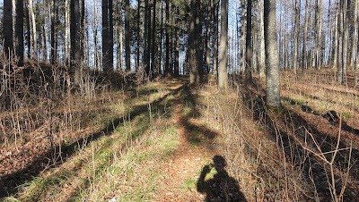 Singletrail auf dem Beretenkopf