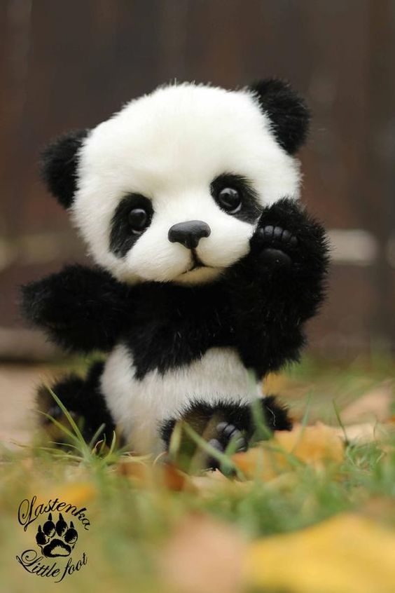 √ 1000+ Gambar Wallpaper Panda Keren