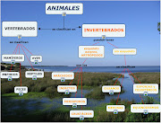 ANIMALES INVERTEBRADOS: ACTIVIDADES · VERTEBRADOS E INVERTEBRADOS