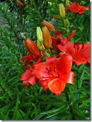 DSC00633