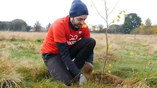 Un homme qui plante un arbre