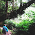 Oregon Coast Trail - Hiking Oregon Coast