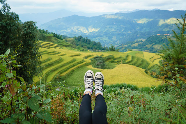 Hoàng Su Phì – Nơi những thửa ruộng bậc thang vàng rực tuyệt đẹp